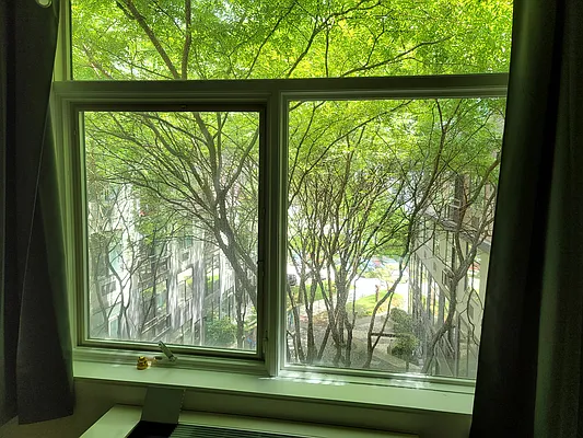 Rented by Garden Management | media 54