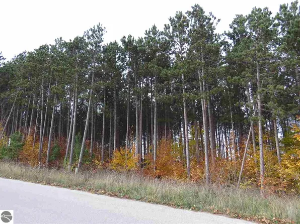 LOT 78 Eden St, Kingsley, MI 49649
