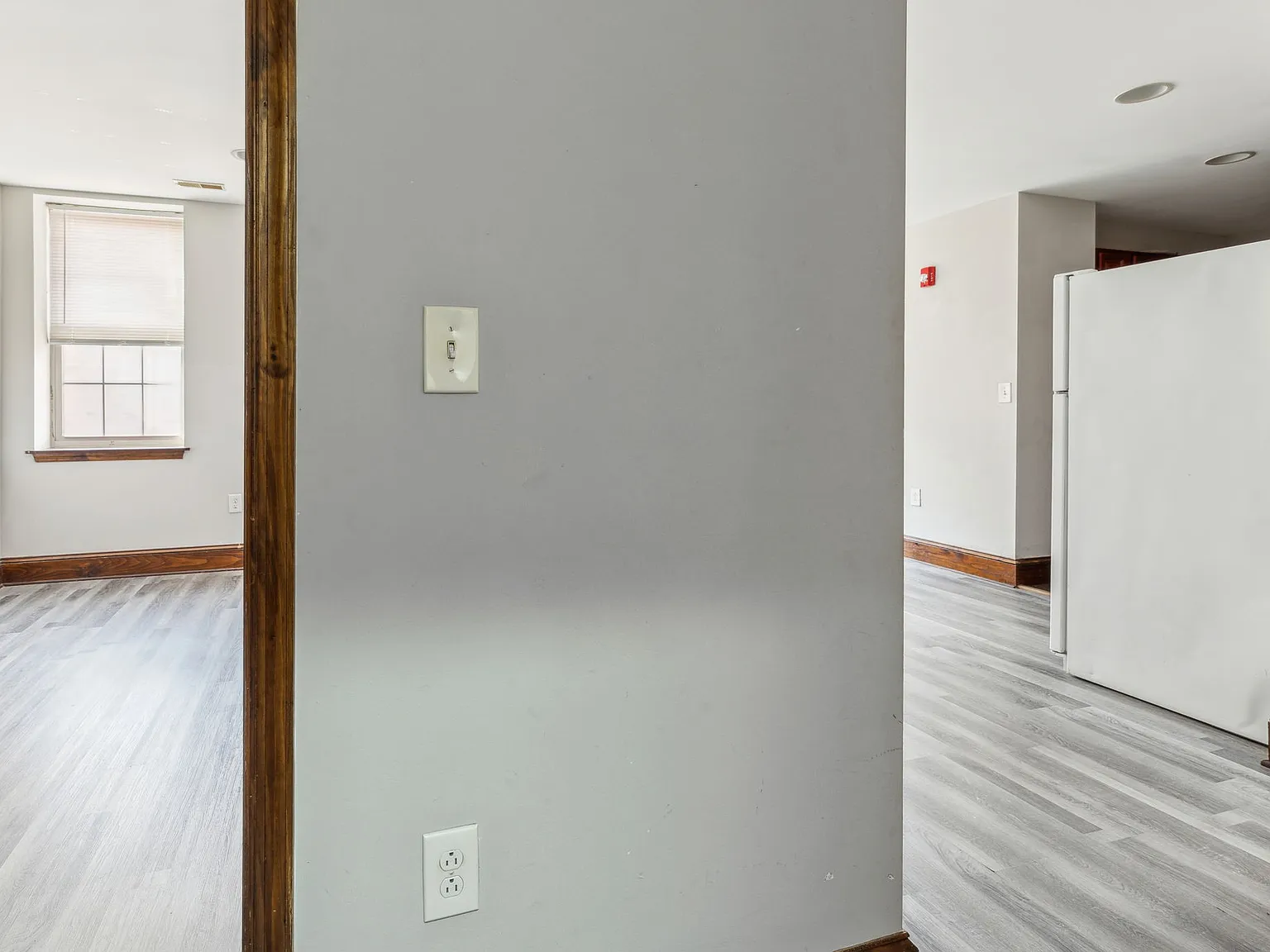 1 bed, $990 — Photo 3