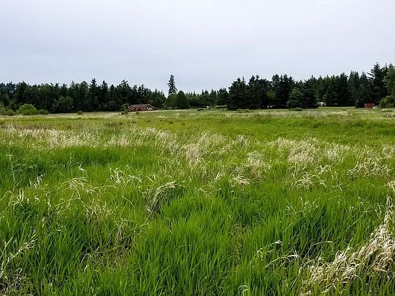 4th image of McFarland Dr
