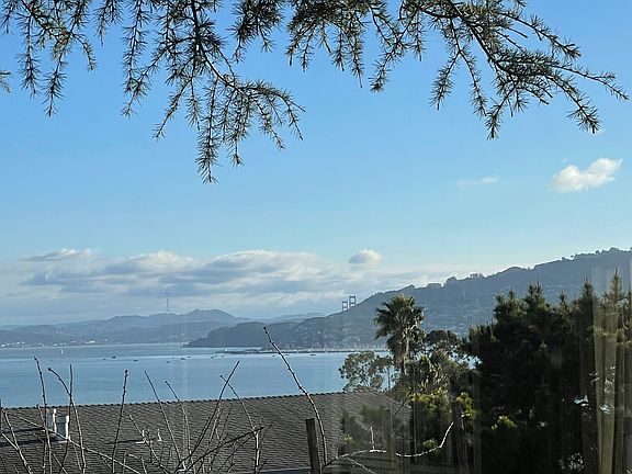 view from kitchen