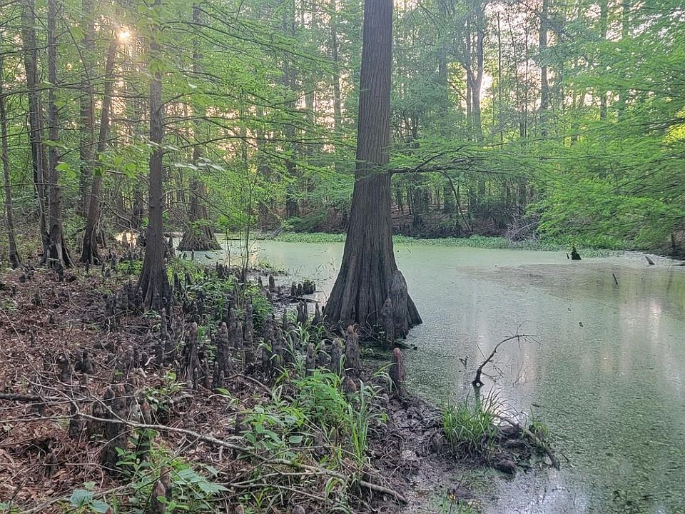 1st image of County Road 430