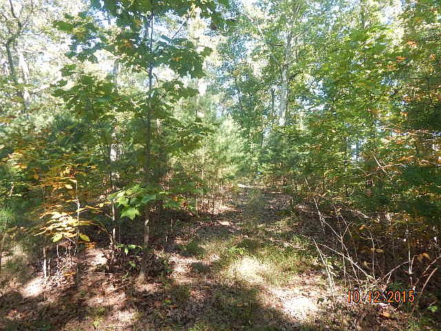 1st image of Proffitt Ridge Road