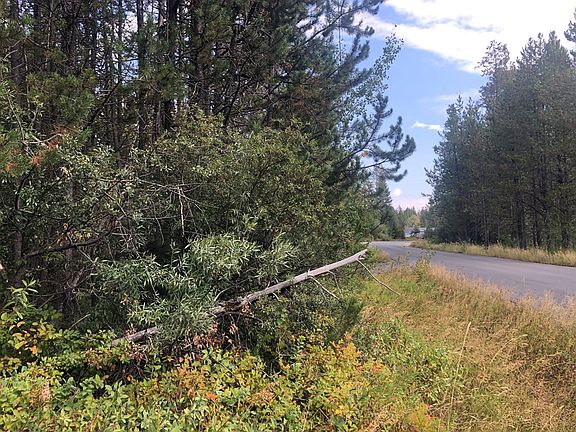 4th image of 170 Lake Trail Dr