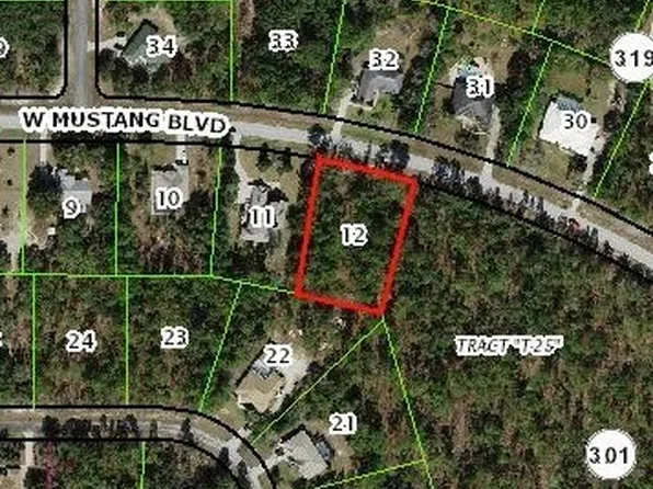 3014 W Mustang Blvd, Beverly Hills, FL 34465