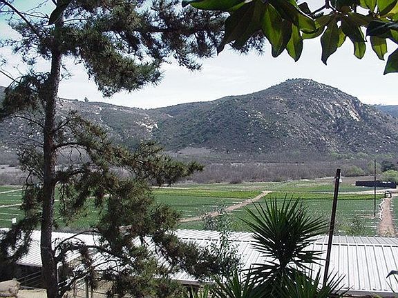 View from the front of the home
