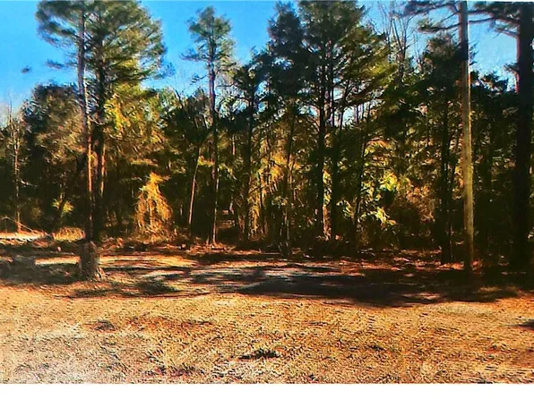 120 County Road 1784 #62, London, AR 72847
