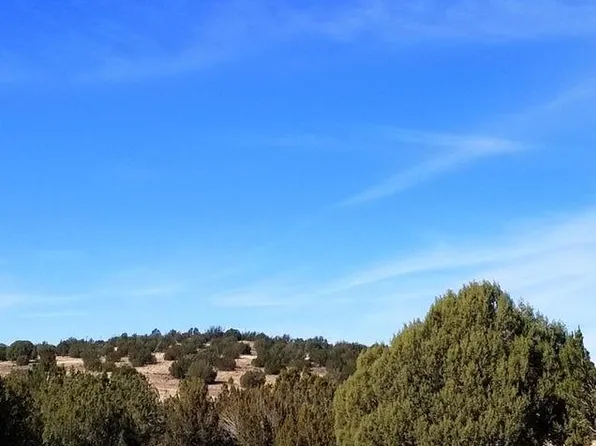37621 W Greenhorn Rd, Seligman, AZ 86337