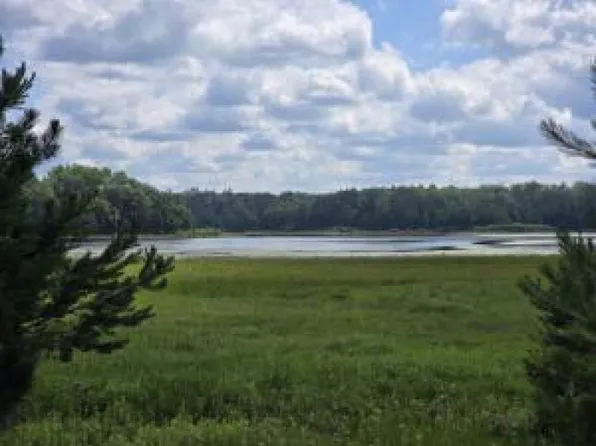 McCollum Lake Rd, Curran, MI 48728