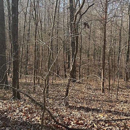 5th image of 0 Girl Scout Rd
