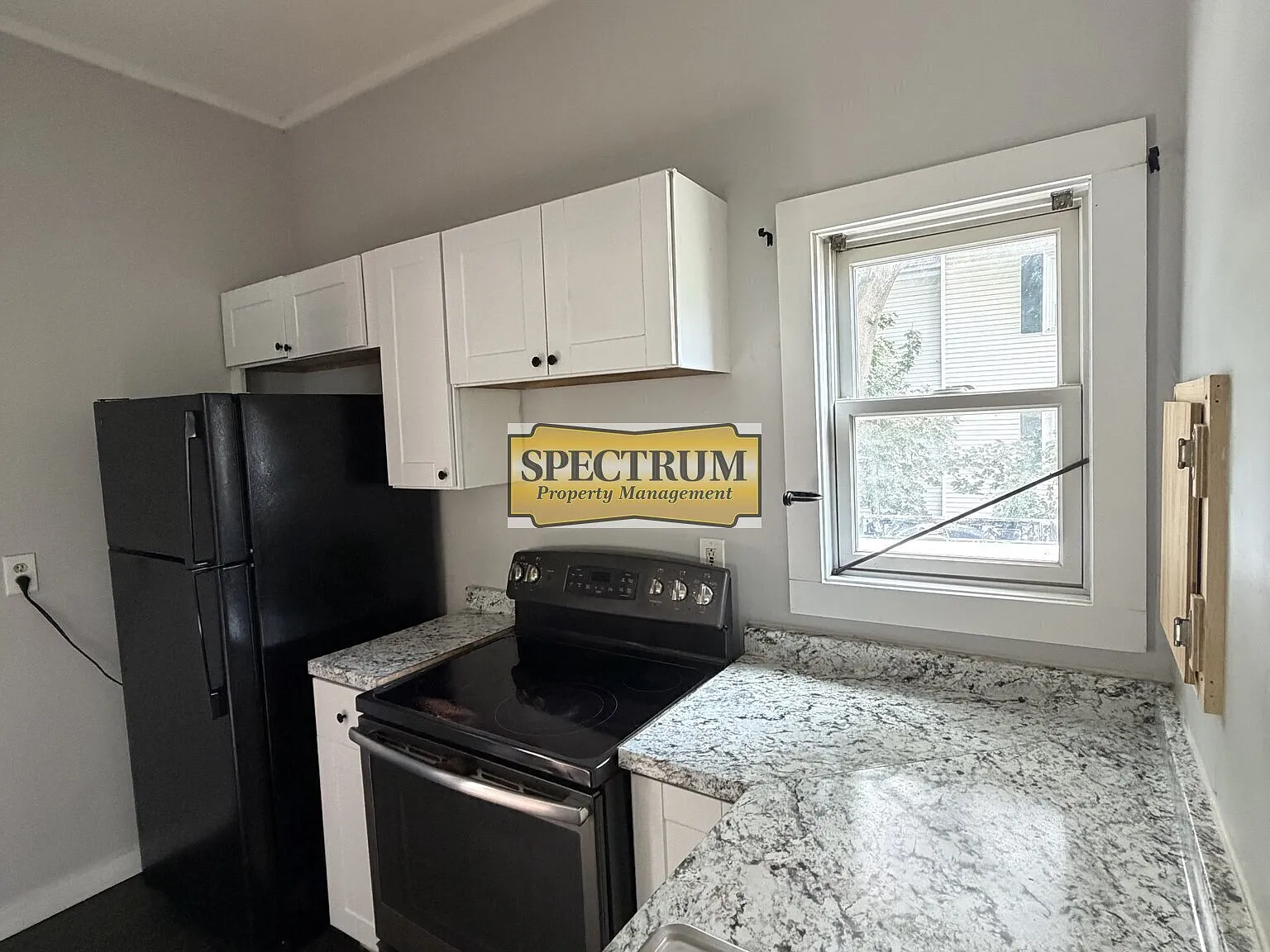 1 bed, $800 — Photo 3