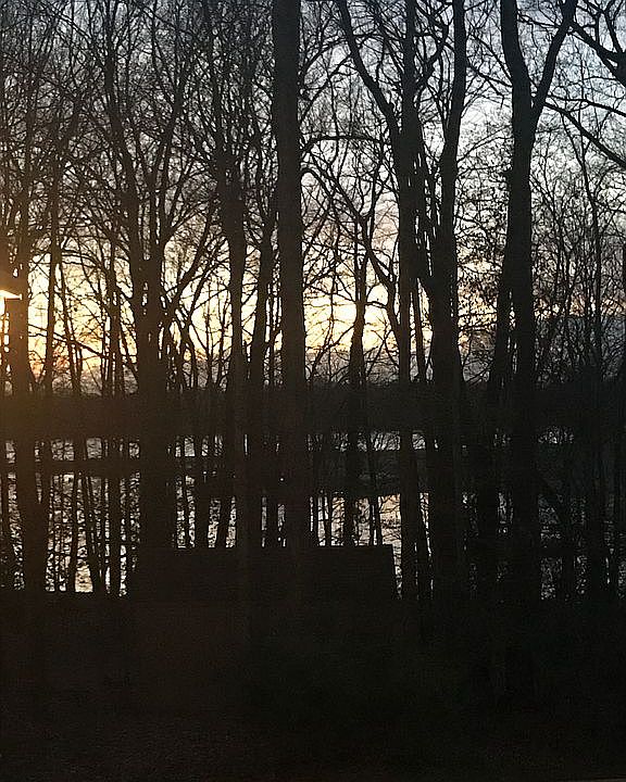 Lake view