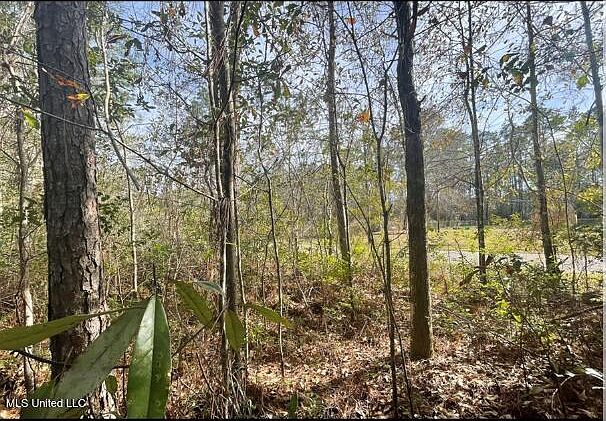 2nd image of Dailey Rd