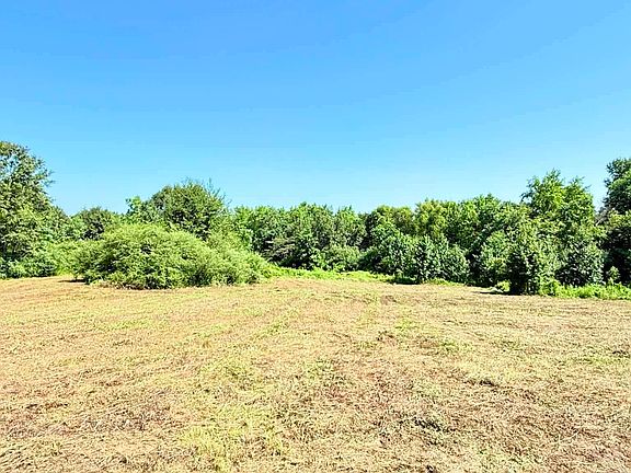 5th image of 3.5 Acres 1 Co Rd #32