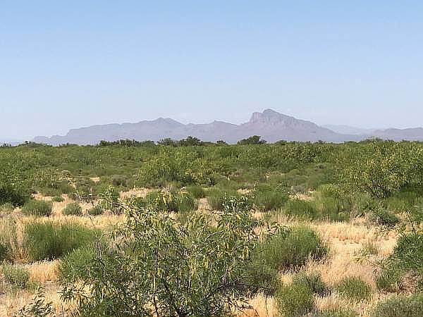 2nd image of E Tamarask