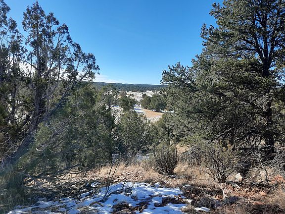 4th image of 33384 W Lago Cir