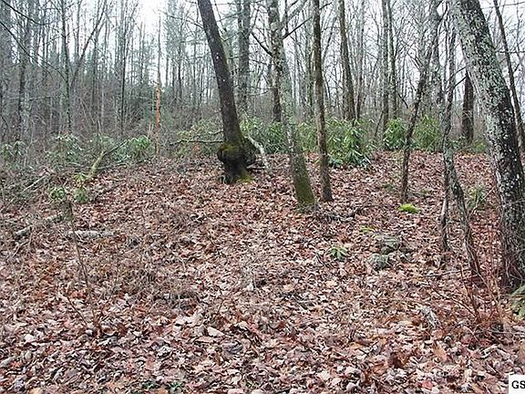 3rd image of 10 Little Round Top Ln Lot 10/11