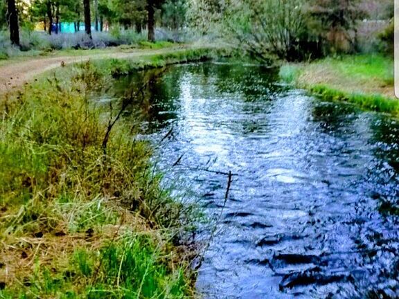 HOME ON THE CANAL AMAZING!!!