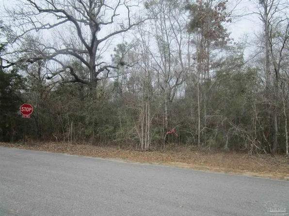 4700 White Ash Rd, Molino, FL 32577