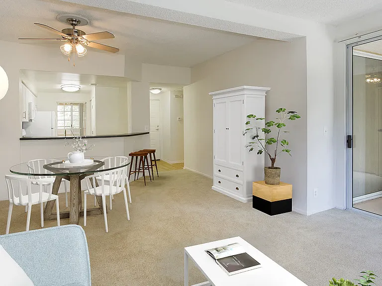 Open Concept Kitchen and Living Space