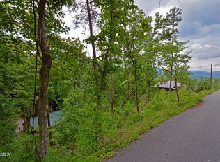 0 Old Cartertown Rd LOT 5, Gatlinburg, TN 37738