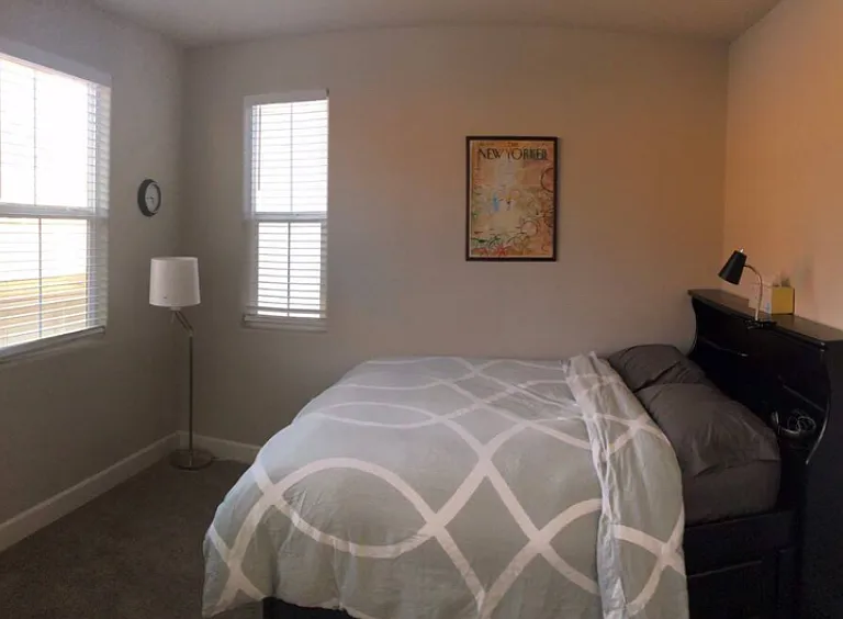 1004 Green Zebra Ter — Photo 22
