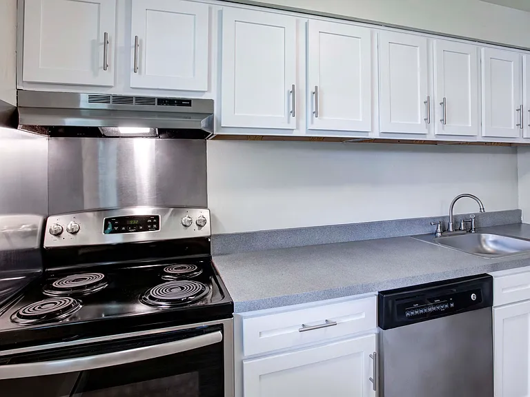 Silver Lake Manor — Photo 10