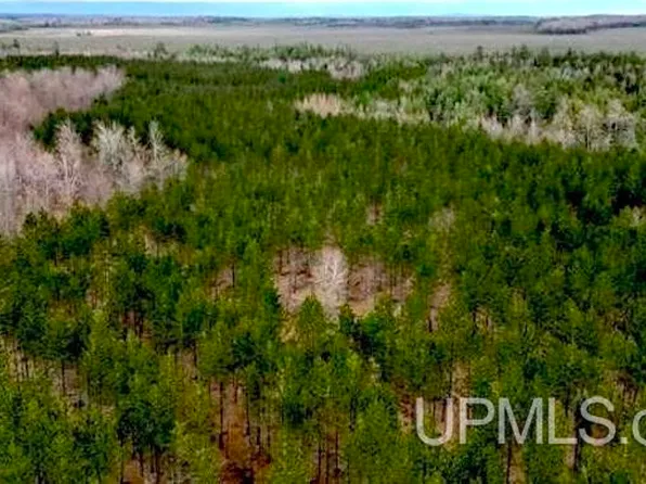 County Road 440 Rd, Wetmore, MI 49895