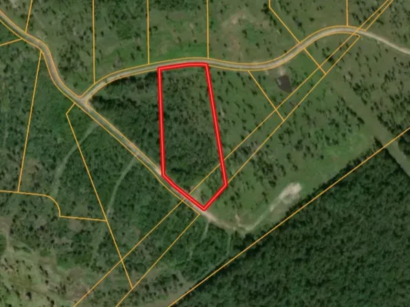 LOT 10 Eagle Falls Blvd, Trinity, TX 75862