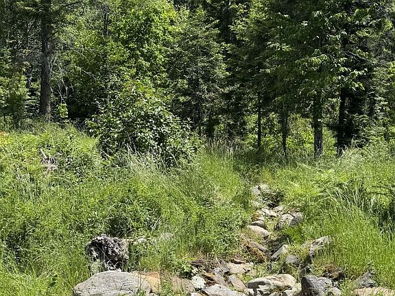 4th image of Nka Enchanted Forest Ln Lot 3
