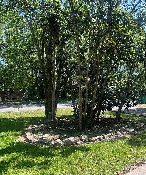 1910 Oaklawn Dr — Photo 5