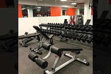 Rented by Sieber International