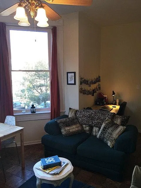 1 bed, 536 sqft, $2,295 — Photo 4