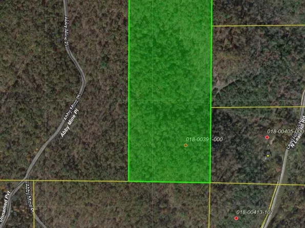 Abbey Mine Rd, Bergman, AR 72615