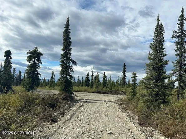 49668 S Timberwolf Rd, Sutton, AK 99674