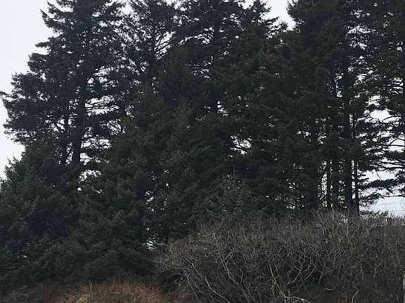 2nd image of 1721 E Rezanof Dr