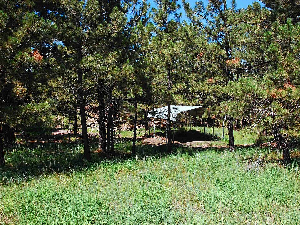 2nd image of 23658 Triple M. Ranch Rd.
