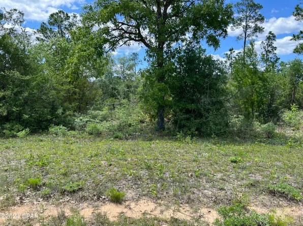 LOT 6 Cleveland Dr, Alford, FL 32420