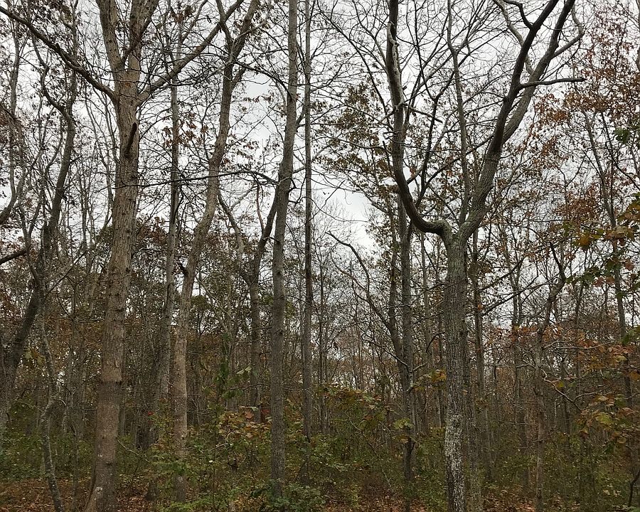 1st image of 38 Laurel Dr