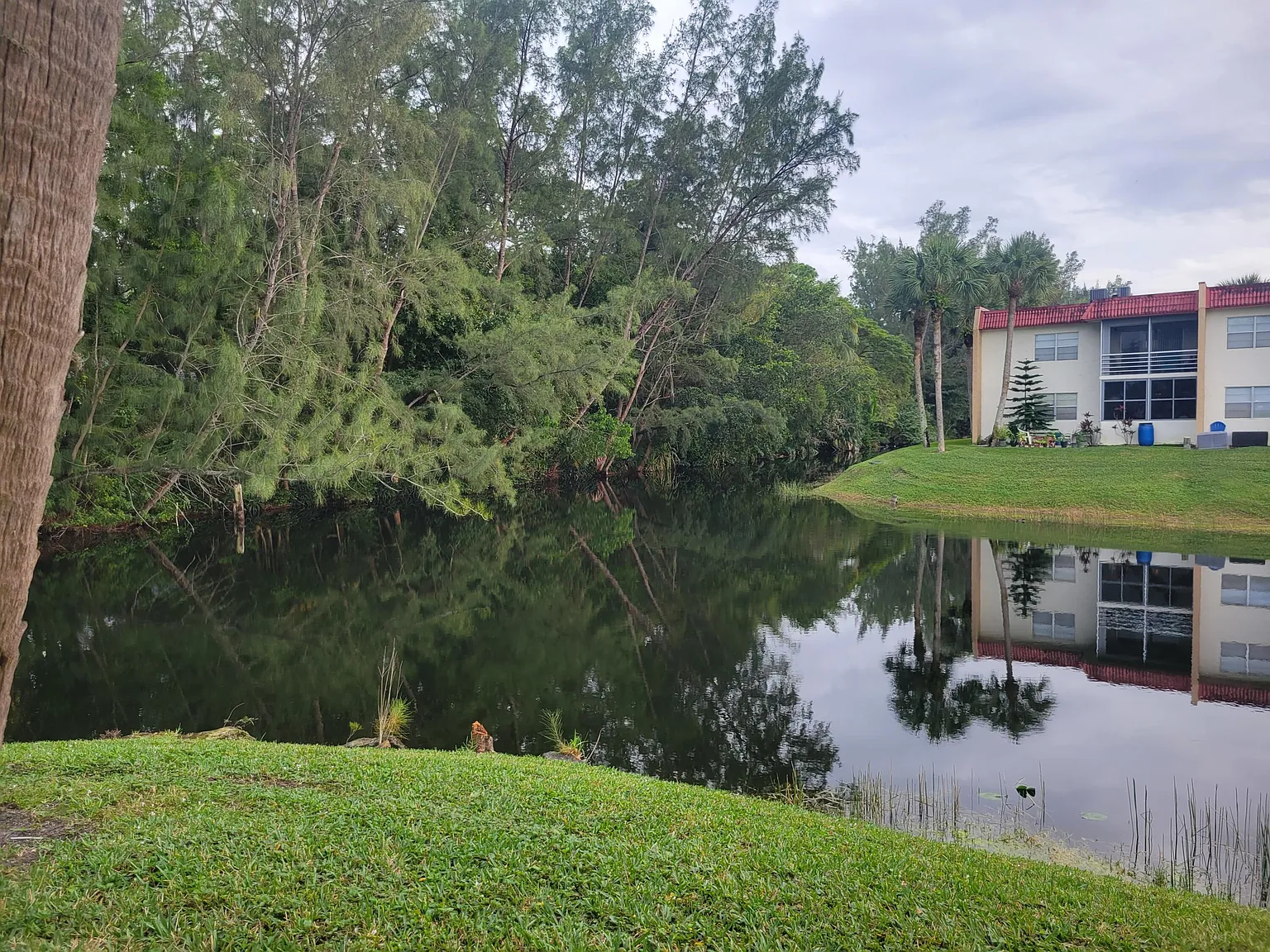1 bed, 1.5 bath, 704 sqft, $1,350 — Photo 1