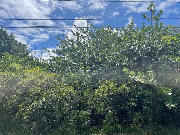 3rd image of Pahoa Rd Lot 1308