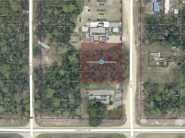14-17-28-0200-00 Oak St Lot 41, Paisley, FL 32767