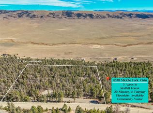 4538 Middle Fork Vis, Fairplay, CO 80440