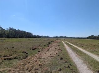 Deen Still Rd E Lot B-179, Polk City, FL 33868