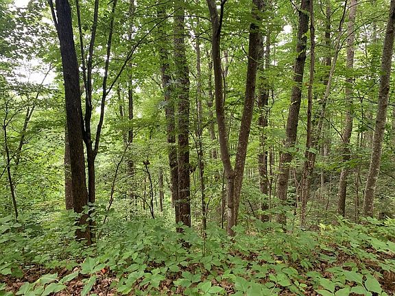 4th image of 1244 Old Barn Cir Lot 1244