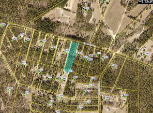 441 Gantt Mill Rd, Leesville, SC 29070