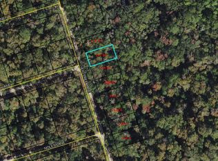 10 Fig Tree Ln, Crawfordville, FL 32327