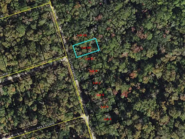 10 Fig Tree Ln, Crawfordville, FL 32327