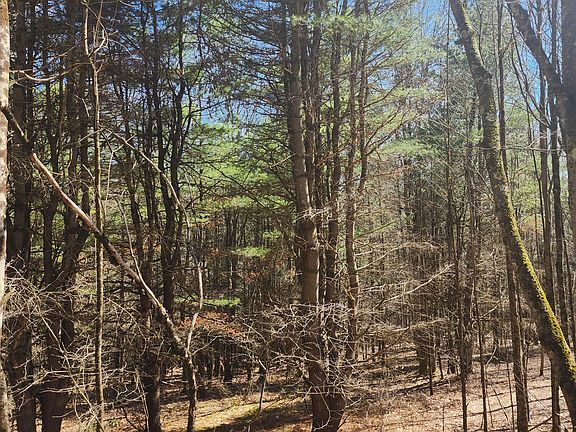 3rd image of 114 Tarbell Hill Rd