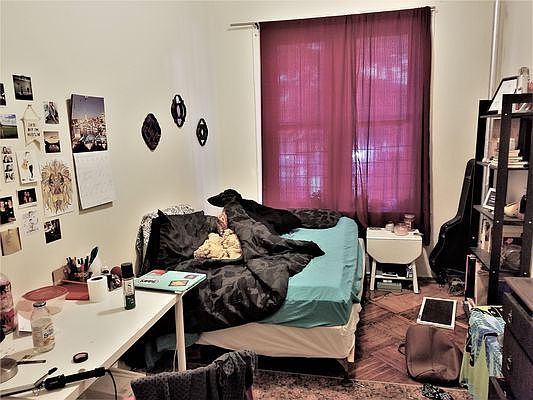 3rd image of 219 E 17th St APT 1